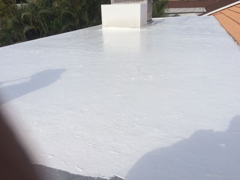 Repaired Roof Surface